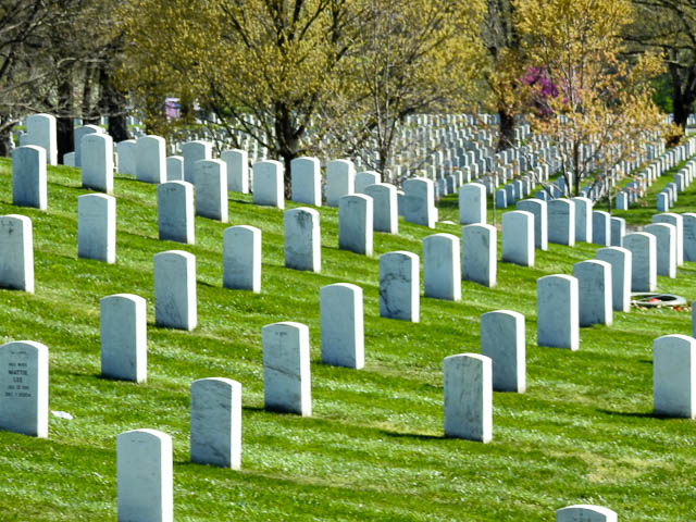 Photo of headstones in Arlington Cemetery, credit Xiquinho Silva