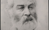 Walt Whitman, head and shoulders photo portrait, by Alexander Gardner, courtesy of LOC
