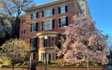 Facade of DACOR Bacon House with magnolia in bloom 2021
