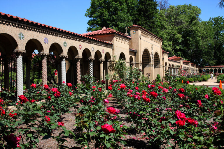 A view of the arches of the Franciscan Monastary and gardens